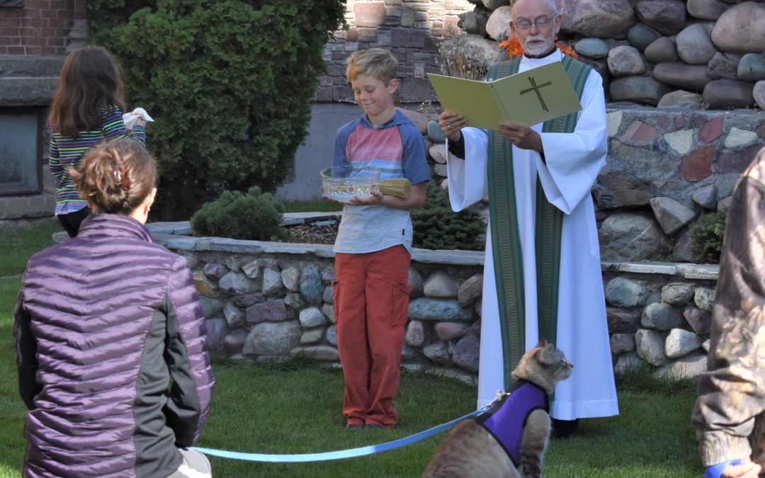 Blessing our companions